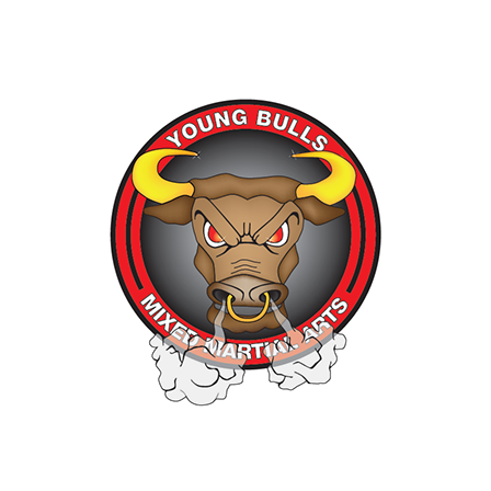 Logo Design | Young Bulls